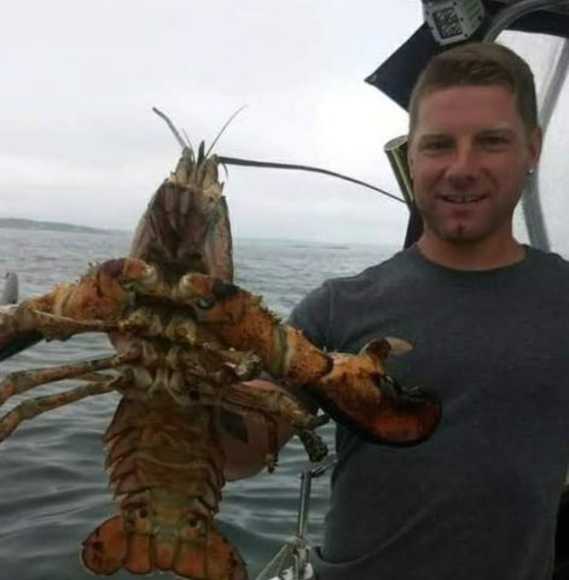 Meet your Posher, Damien - Picture 1 of 1